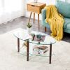 Transparent Oval Glass Coffee Table