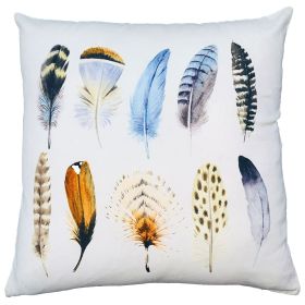 Contemporary Feather Print Accent Throw Pillows (Set of 2)