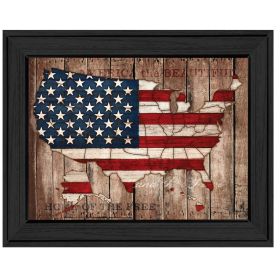 America the Beautiful Framed Print by Mollie B.