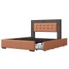 VibrantGlow Modern Contrast Queen Bed with Storage Drawers